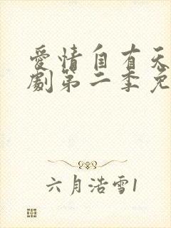 爱情自有天意短剧第二季免费观看