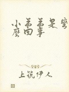 小弟弟是弯的怎么回事封面