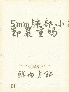 5mm肺部小结节严重吗