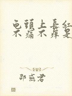 龟头上长红疙瘩不痛不痒是怎么回事