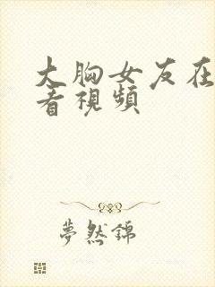 大胸女友在线观看视频