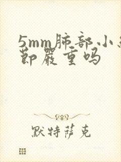 5mm肺部小结节严重吗