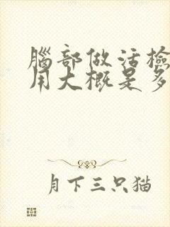 脑部做活检的费用大概是多少钱