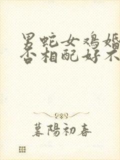 男蛇女鸡婚姻是否相配好不好