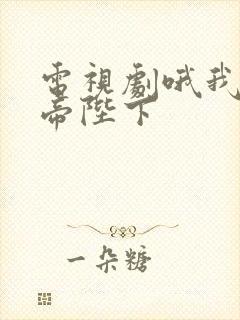 电视剧哦我的皇帝陛下