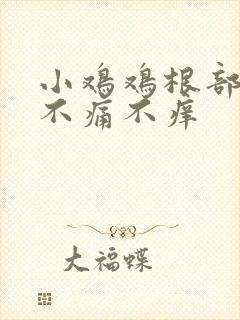 小鸡鸡根部疙瘩不痛不痒