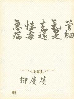 急性支气管炎是病毒还是细菌感染