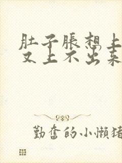 肚子胀想上厕所又上不出来怎么回事封面