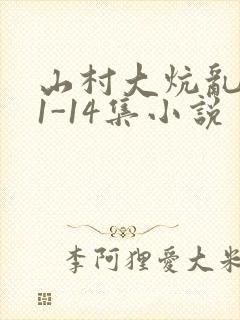 山村大炕乱肉续1-14集小说