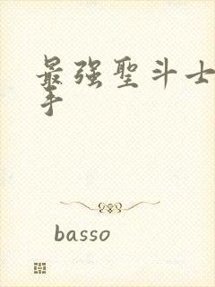 最强圣斗士 圣手