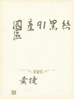 国产91黑丝一区封面