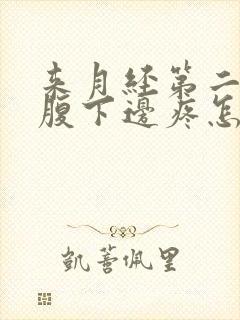 来月经第二天小腹下边疼怎么回事