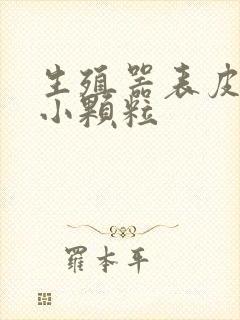 生殖器表皮白色小颗粒