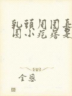 乳头周围长了一圈小疙瘩是什么原因封面