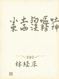 小土狗呕吐不吃东西没精神怎么办