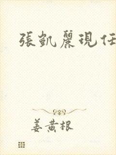 张凯丽现任丈夫