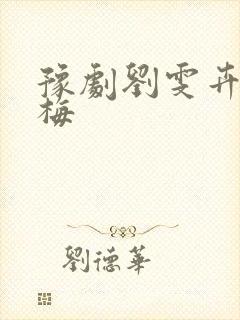 豫剧刘雯卉秦雪梅