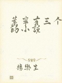 叶宁有三个师傅的小说封面