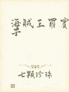 海贼王罗宾h本子