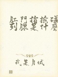 肛门指检碰到前列腺是什么感觉