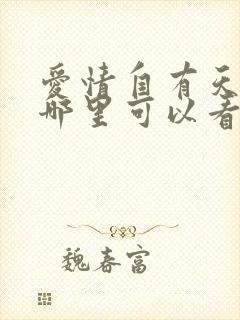 爱情自有天意在哪里可以看