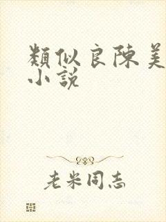 类似良陈美锦的小说