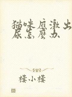 猫咪应激出现不尿怎么办