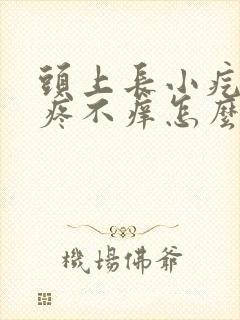 头上长小疙瘩不疼不痒怎么回事