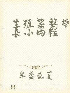 生殖器系带两侧长小肉粒