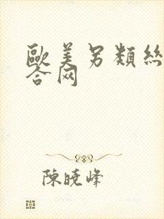 欧美另类丝袜综合网