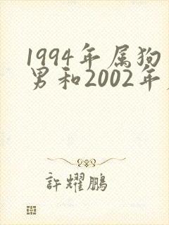 1994年属狗男和2002年属马女婚姻