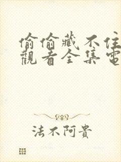 偷偷藏不住免费观看全集电视剧西瓜