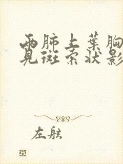 两肺上叶胸膜下见斑索状影封面