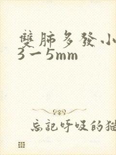 双肺多发小结节3一5mm