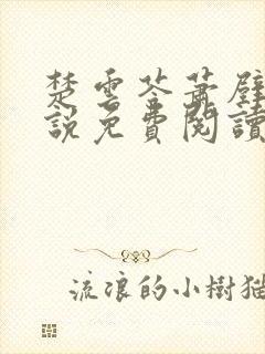 楚云苓萧壁城小说免费阅读完结正版