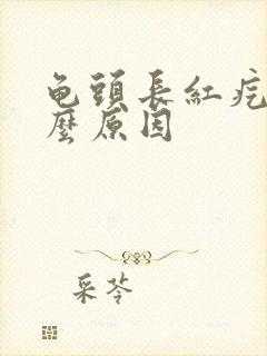 龟头长红疙瘩什么原因