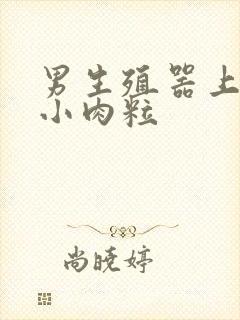 男生殖器上方长小肉粒