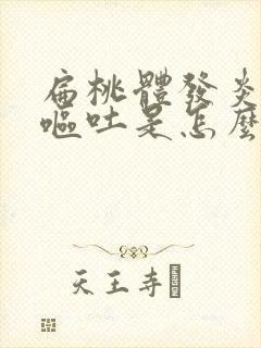 扁桃体发炎高烧呕吐是怎么回事