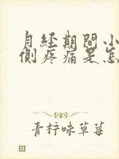 月经期间小腹左侧疼痛是怎么回事封面