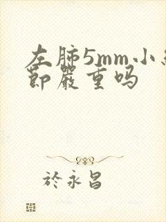 左肺5mm小结节严重吗