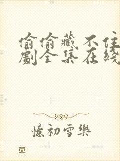 偷偷藏不住电视剧全集在线免费观看