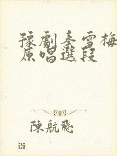 豫剧秦雪梅吊孝原唱选段封面