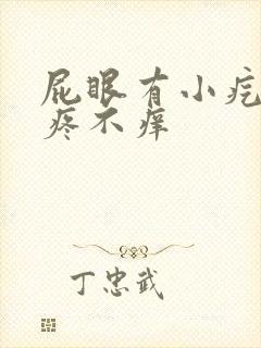 屁眼有小疙瘩不疼不痒封面