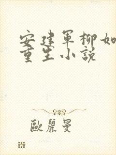 安建军柳如烟的重生小说