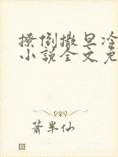 撩倒撒旦冷殿下小说全文免费阅读