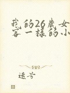 我的26岁女房客一样的小说封面