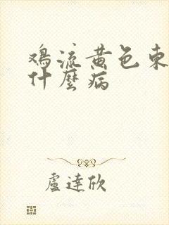 鸡流黄色东西是什么病