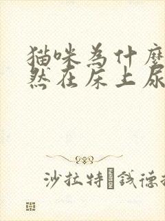 猫咪为什么会突然在床上尿封面