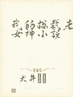 我的总裁老婆是女神小说封面