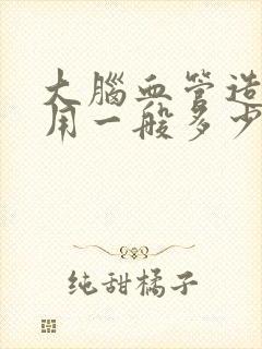 大脑血管造影费用一般多少钱